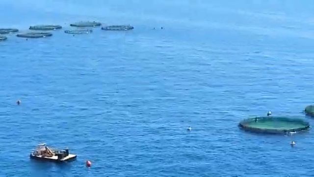 Рыбная ферма в древней Греции!!! смотреть онлайн