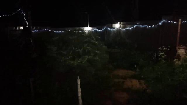 Виды бонсай на участке и вечерняя подсветка смотреть онлайн