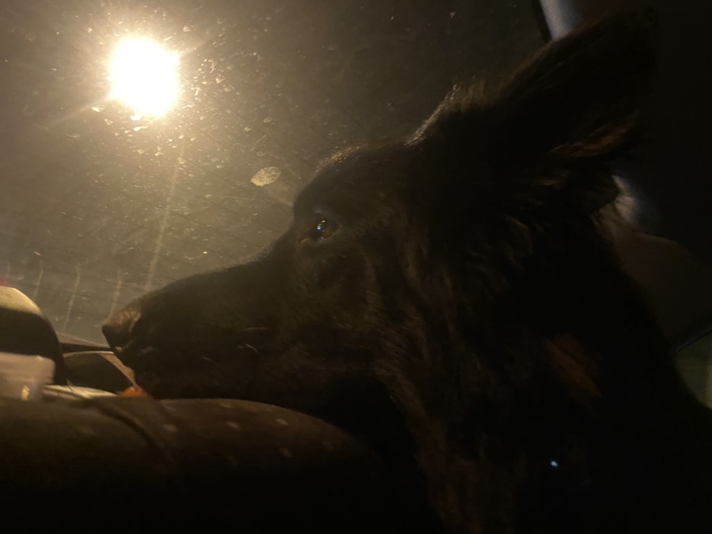 Следим за супом смотреть онлайн