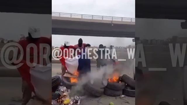 4_5933656031350492980.mp4