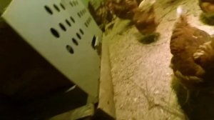 Жизнь в Валаамском монастыре изнутри