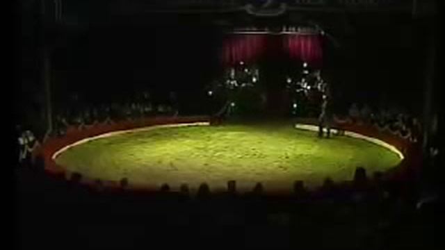 IX° International Circus Festival City of Latina - Vassallo смотреть онлайн