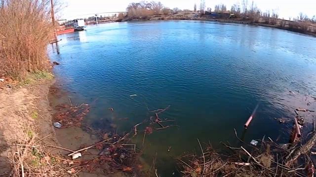 Щучка на Crackjack 48F-MR(новый спиннинг GOLDEN CATCH FLICK) смотреть онлайн