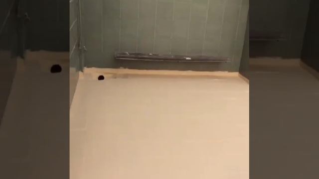 Жидкая кровля смотреть онлайн