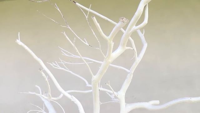 Best Garden Ideas, Breathed New Life into Dry Tree Branch, смотреть онлайн