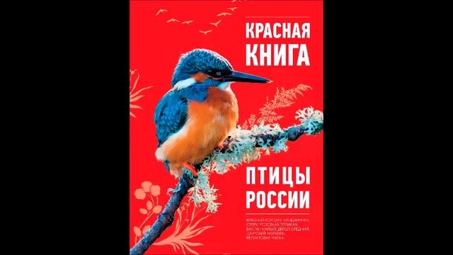 Читаем книгу "Мир Животных" Красные книги смотреть онлайн