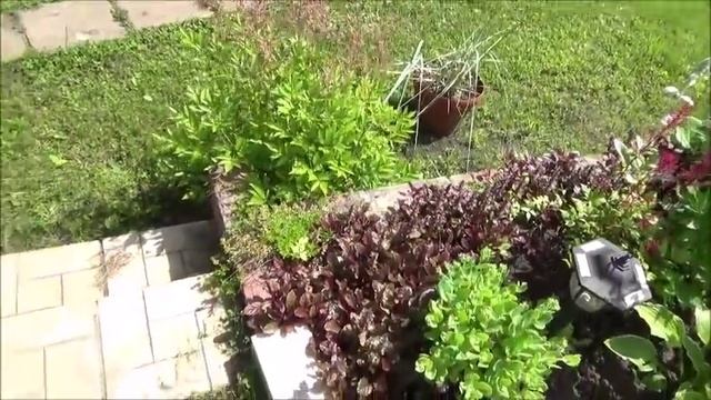 Дача. Идем в гости к Свете. Какой забор, какой участок, какой водоем! смотреть онлайн