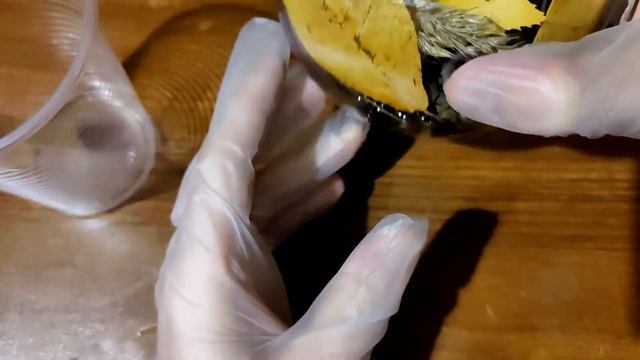 Осенний гербарий в эпоксидной смоле "Золотая осень". Сможет повторить каждый! смотреть онлайн