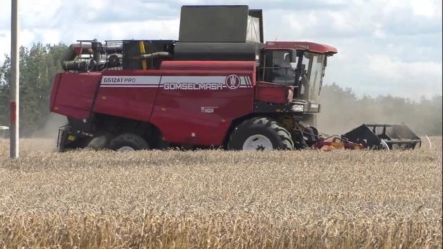 уборка озимой пшеницы ПАЛЕССЕ GS 12. и ГОМСЕЛЬМАШ ГС12А1 ПРО смотреть онлайн