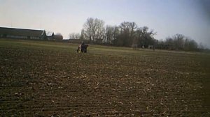 Внесение сложных удобрений под посев кукурузы.