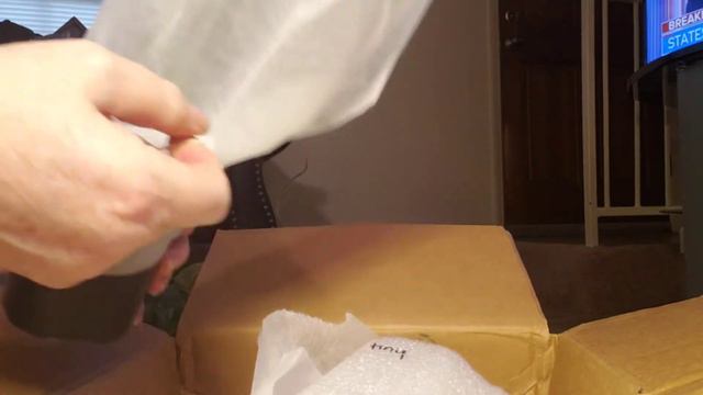 Gabriella plants unboxing! смотреть онлайн