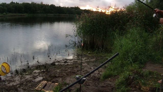 р. ЛУГА проснулась ! Активный клёв ПОДЛЕЩИКА 2023г смотреть онлайн