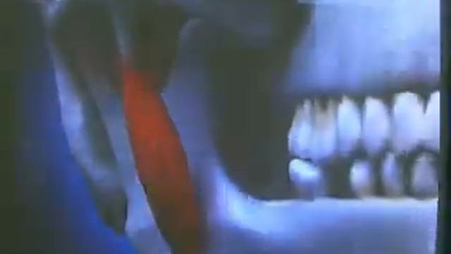 Принцип работы жевательного аппарата и этапы развития патологии жевательного аппарата ВНЧС смотреть онлайн