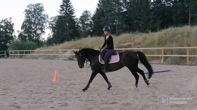 Greylands Playgirl, gångarter смотреть онлайн