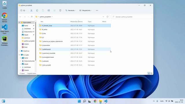 Python Tutoriál Kezdőknek (2022) смотреть онлайн