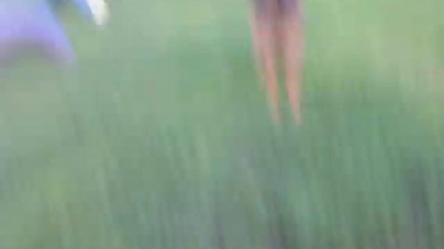 German Shepherd puppy.Magic Trick.Игрушка немецкой овчарки. смотреть онлайн