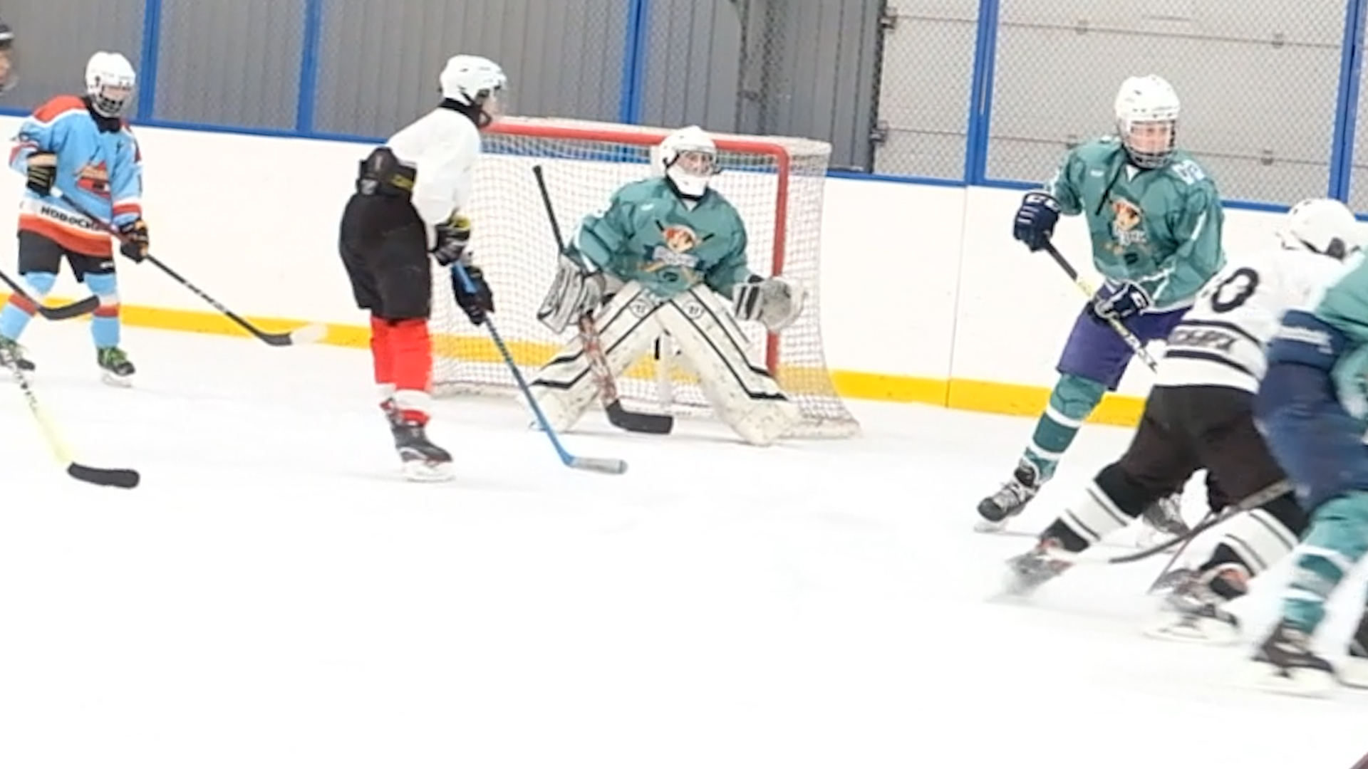 СИБИРСКАЯ ШАЙБА 11.02.2024