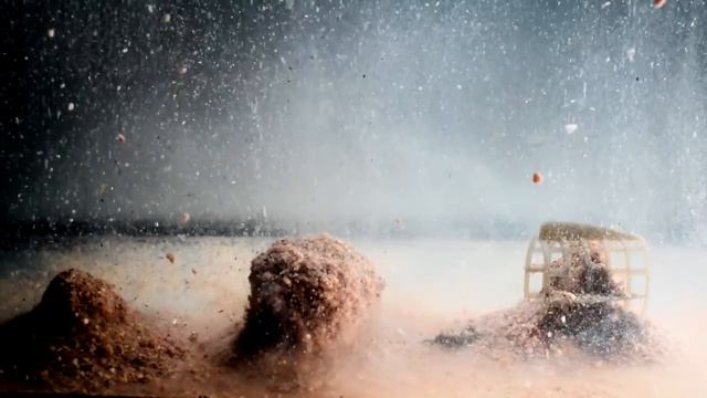 RS Плотва Спорт смотреть онлайн