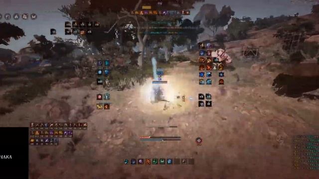 BDO Wizard Awakening PVP Node war #35 смотреть онлайн
