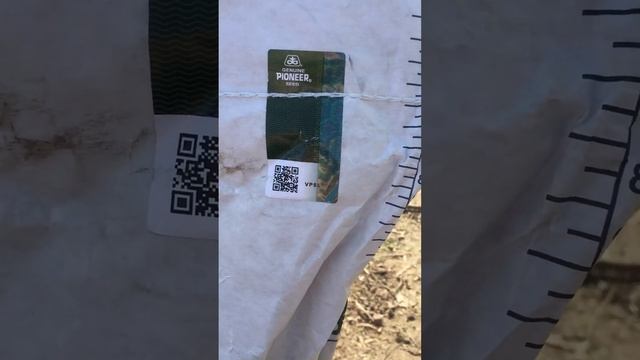 Шок, лохотрон! Як не попасти на підробку соняшника (Піонер 125)Pioneer 125 смотреть онлайн