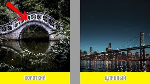 Знакомимся с понятиями короткий и длинный | развивающее видео для детей | учим сравнивать | Умняха смотреть онлайн