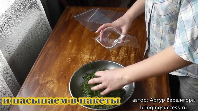 Как сохранить зелень свежей (заготовка на зиму) смотреть онлайн