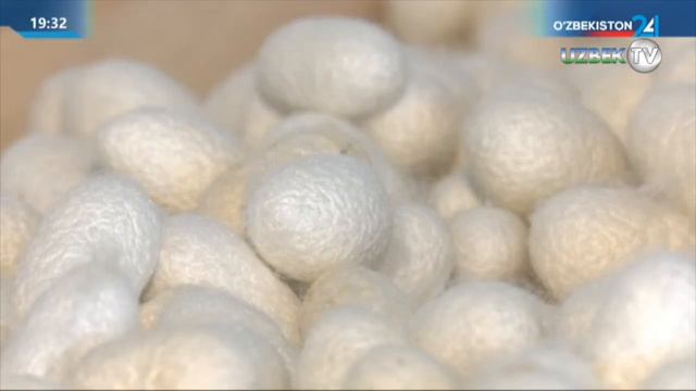 Шавкат Мирзиёев ознакомился с презентацией предложений по охране и использованию пастбищных земель