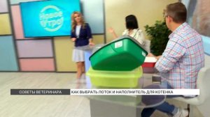 Как выбрать лоток и наполнитель для котенка?