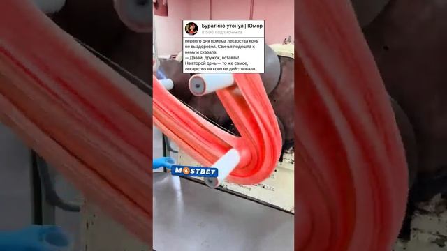 Анекдот про коня #анекдоты #мем #анекдот #приколы #шутки #шутка #прикол #смех смотреть онлайн