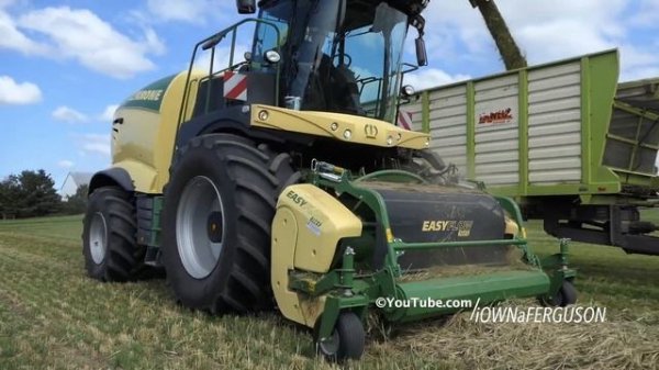 Krone Big X 680 in the field chopping crops for silage | Danish Agriculture | Chopping Season 2021