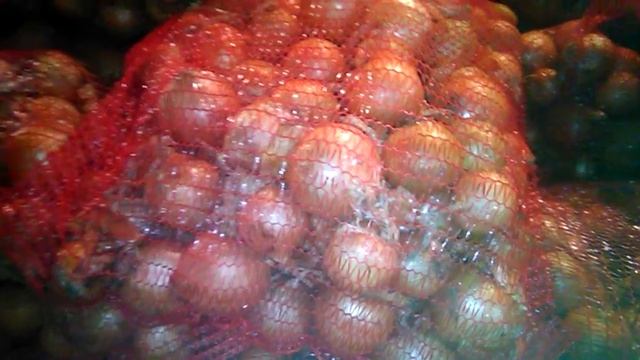 Лук репчатый, подготовка к отгрузке смотреть онлайн