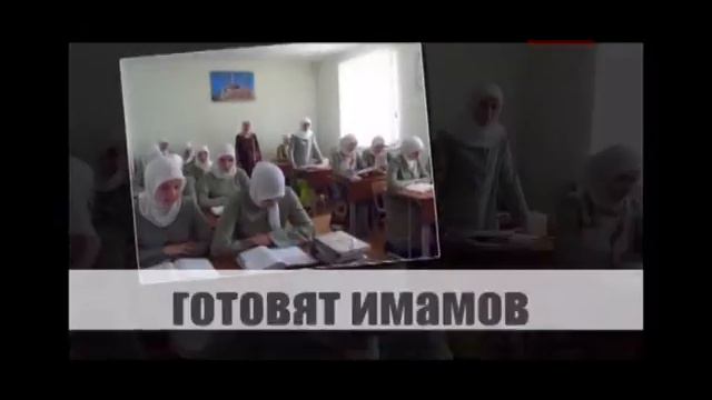 Дагестанский Буйнакский Исламский Университет. смотреть онлайн