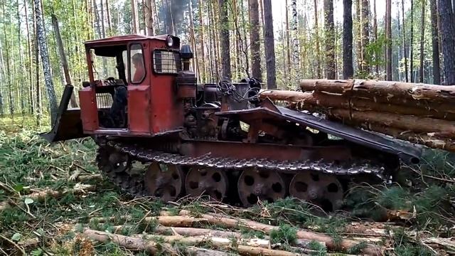 Работа на ТДТ 55 в лесу смотреть онлайн