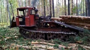 Работа на ТДТ 55 в лесу