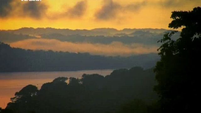 12 серия смотреть онлайн