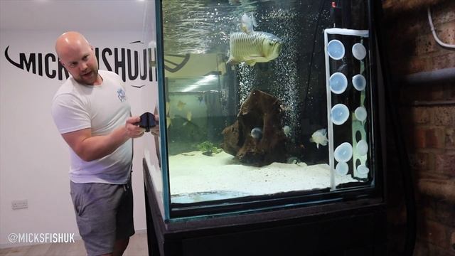 THE BRAND NEW FLIPPER MAX EDGE UNBOXING AND COMPARING WITH THE FLIPPER MAX смотреть онлайн