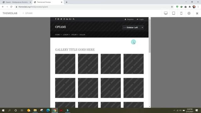 Opiami: Multipurpose Bootstrap HTML Template смотреть онлайн