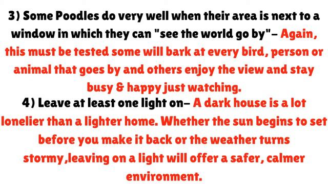 How to Leave your Poodle alone at Home? | Poodle Separation Anxiety | смотреть онлайн