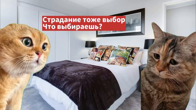 Счастье это выбор