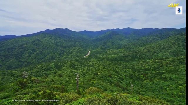 Best DSLR Camera 2021 II 5 Best DSLR Camera 2021