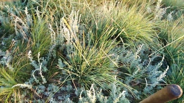 Ночной коп (Коп с ночевкой в степи) смотреть онлайн