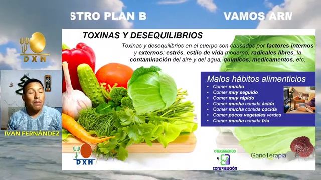 TERAPIA CON GANODERMA / SIMPLES PRACTICAS MEJORA NUESTRA SALUD смотреть онлайн