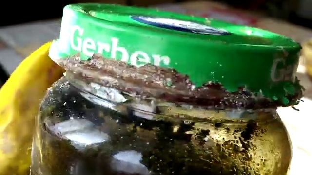 Йод растворяет золото в пирите смотреть онлайн