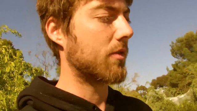 Satya Yuga Forest Tour смотреть онлайн