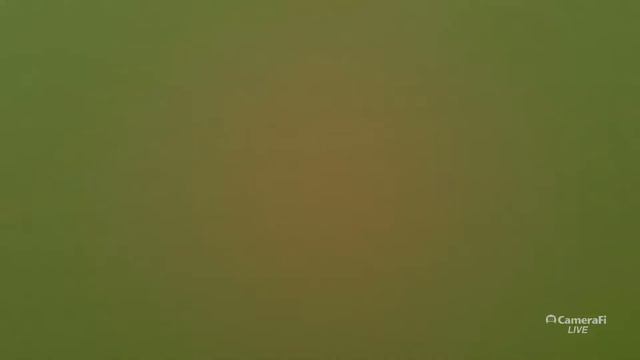 Спутник - Волки смотреть онлайн