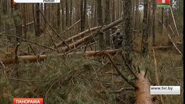 Река Ислочь под угрозой загрязнения! Панорама смотреть онлайн