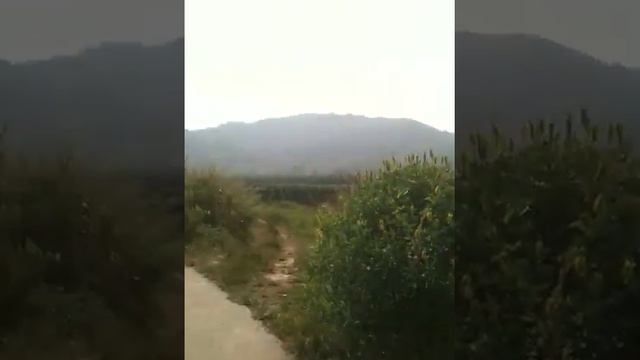 Motorcycle in village in Huizhou, Guangdong, China смотреть онлайн