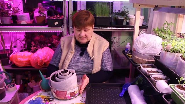 Всегда С Урожаем! Посев Лука В Улитку. смотреть онлайн