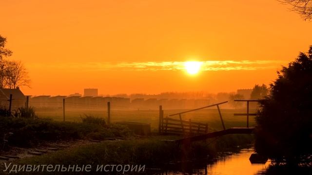 Услышав странный крик из колодца, у купленного дома, хирург-вдовец бросился туда. И заглянув... смотреть онлайн