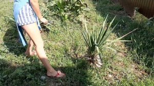 VLOG: ПЕРЕЕЗД НА КУБАНЬ БЕЗ ДЕНЕГ И РАБОТЫ!